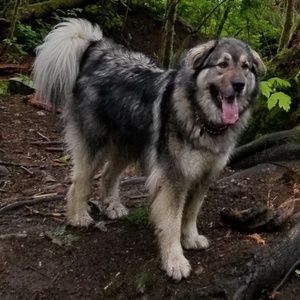 Meet your Posher, Nick